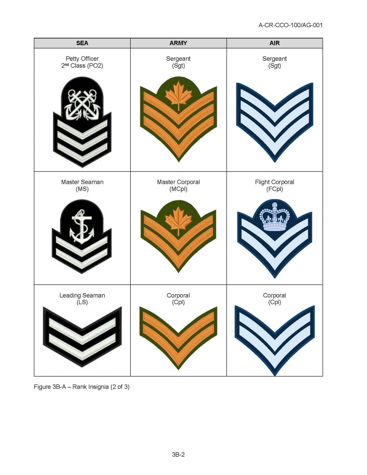 Uniform 858 Skookumchuk Squadron